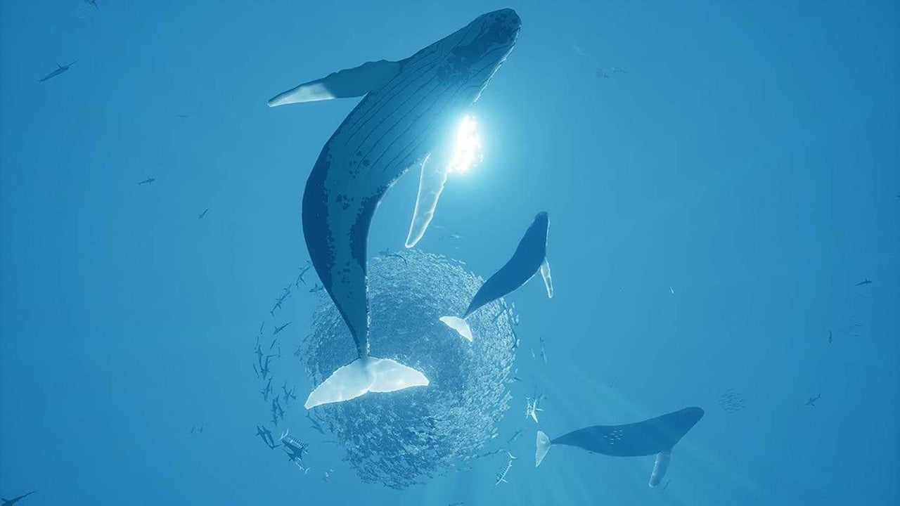 https://images.2game.com/screenshot/abzu-buy-cdkey-full-2.jpg