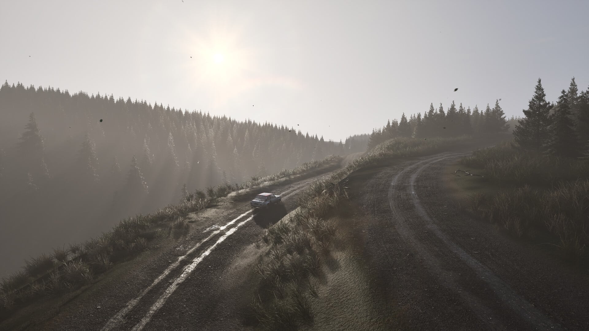https://images.2game.com/screenshot/assetto-corsa-rally-buy-cdkey-full-8.jpg